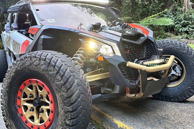 3-Hour Private UTV Tour in San Juan - Who This Tour Fits Best (and Who Should Skip It)