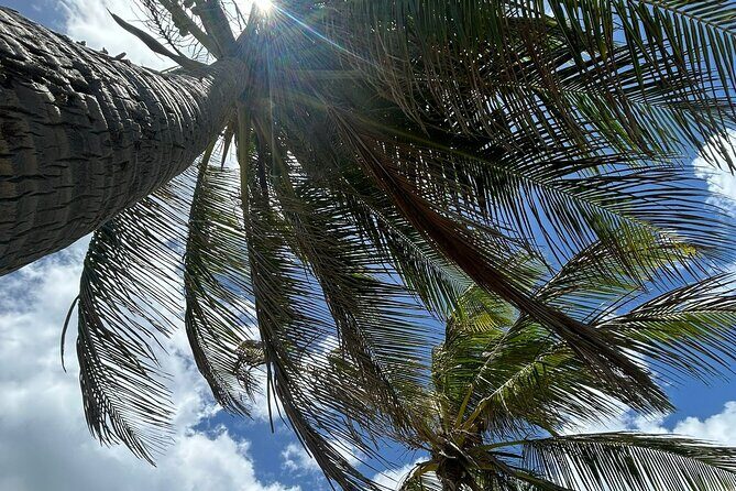 Beach Bliss Yoga in San Juan - The class flow: breathwork, a unique sequence, and shavasana