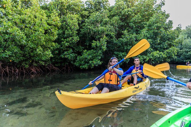 Bio Bay Night Kayaking with Transport from San Juan Area - Night Kayaking in Puerto Rico’s Bio Bay: The Real Deal With the Glow