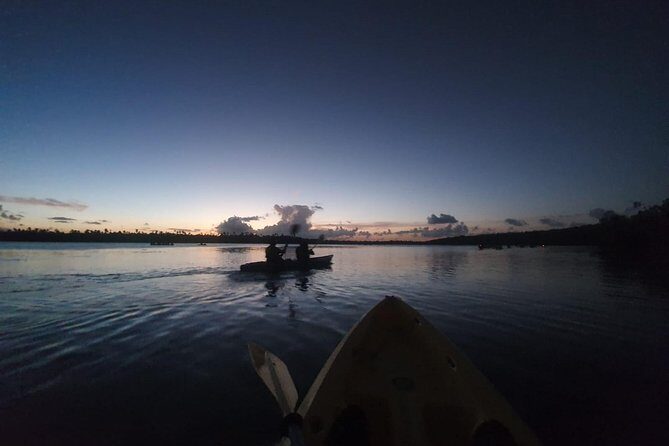 Bio Bay Night Kayaking with Transport from San Juan Area - Should You Book This Bio Bay Night Kayaking Tour?