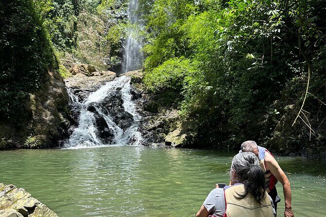 Chase Waterfalls - Discover a hidden 180ft rainforest gem - Should you book Chase Waterfalls with Tranki Tours?