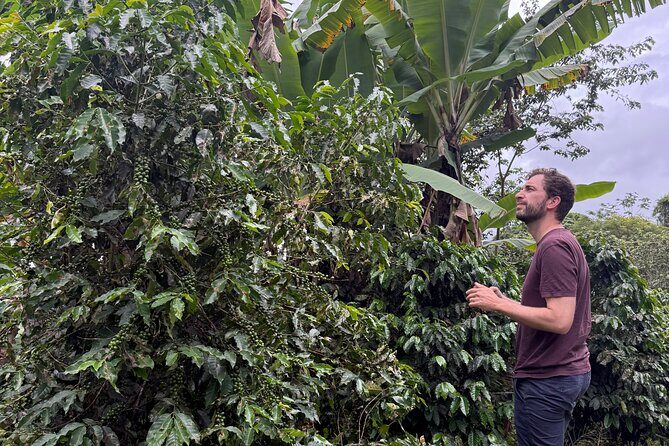 Coffee & Waterfalls Tour: from the mountains to the cup - Cascada Las Delicias: An Accessible Waterfall Moment