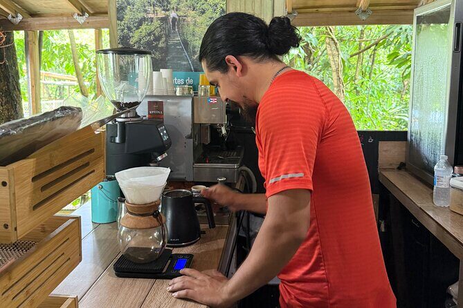 Coffee & Waterfalls Tour: from the mountains to the cup - Toro Negro State Forest: The Cool Mountain Rainforest Hour