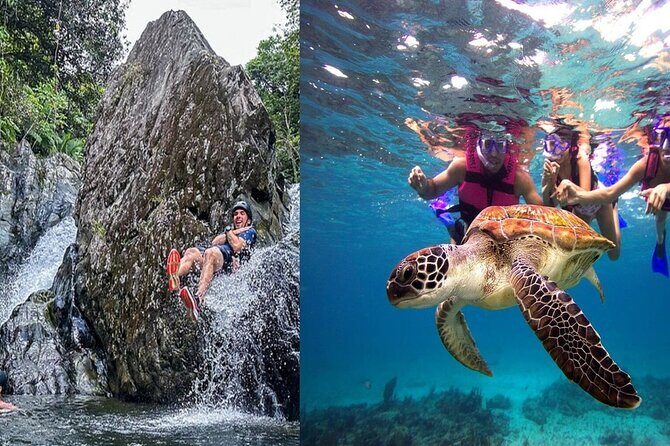 Combo El Yunque Rainforest and San Juan Snorkeling with Transport - Key things to know before you go