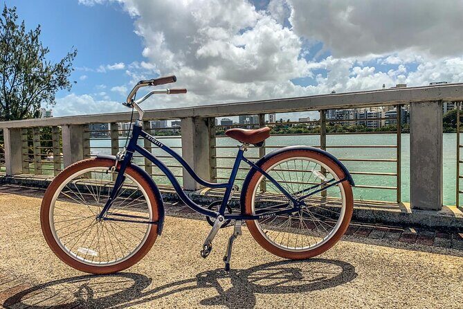 Cruising Bikes Rental in Condado Old San Juan - Luis Muñoz Rivera Park: where the ride turns restful