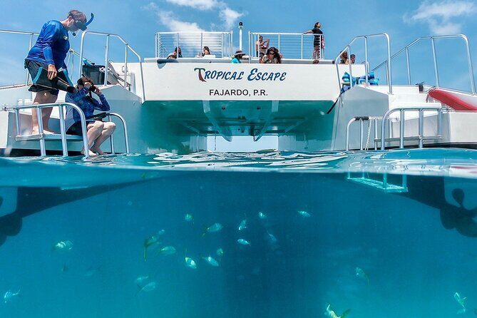 Culebra Snorkeling Tour by Catamaran from Fajardo - Reef Snorkeling at Carlos Rosario or Luis Peña Nature Reserve