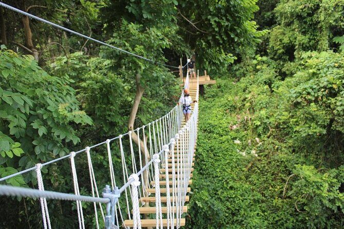 El Yunque Adventure Trail - Key Things I’d Focus On Before You Go