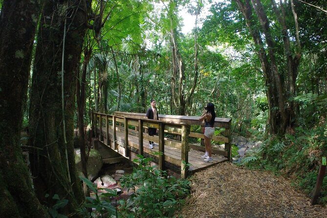 El Yunque Beach Jetski + Rainforest Hike Adventure Tour - Luquillo Beach + the Sandbar by Water: Stops You Can’t Replicate on Your Own
