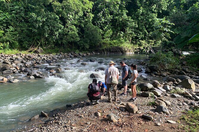 El Yunque National Forest and Luquillo Beach Combo - Catarata La Coca: Quick Photo Stop for an 85-Foot Waterfall