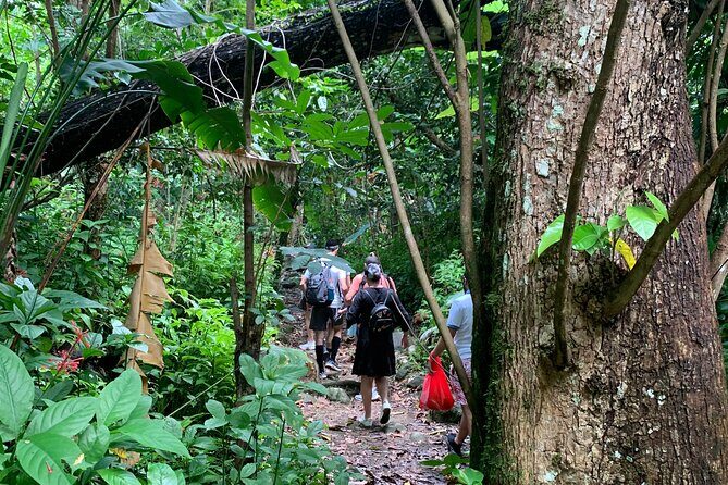 El Yunque National Forest and Luquillo Beach Tour - Getting to the first stops from San Juan