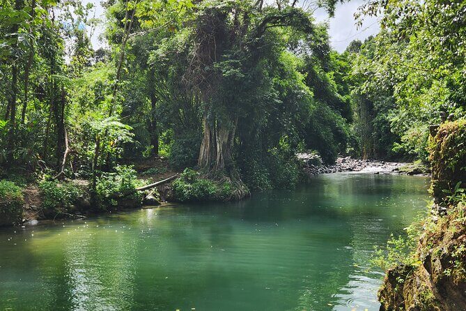 El Yunque National Rainforest and Luquillo Beach Tour - La Coca Waterfall (Catarata La Coca): Short Stop, Big Drop