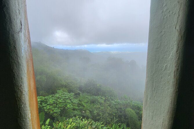 El Yunque National Rainforest and Luquillo Beach Tour - Mameyes River Pools: The Swimming Part, With Real-World Weather Limits