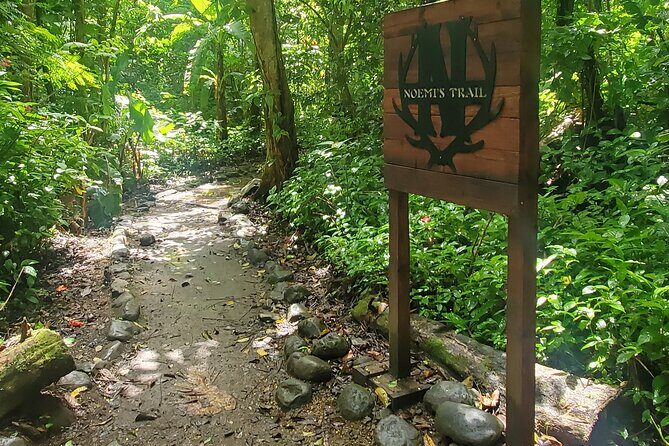 El Yunque National Rainforest and Luquillo Beach Tour - Luquillo Beach and Kiosk Area: How to Use Your 1 Hour 45 Minutes