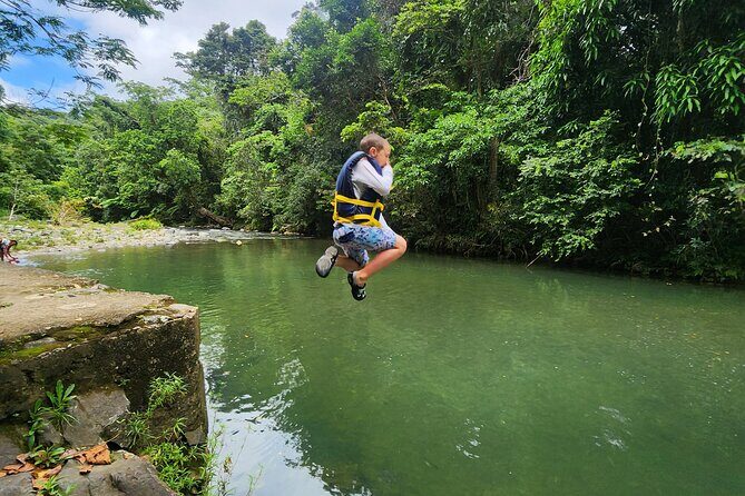 El Yunque National Rainforest and Luquillo Beach Tour - Price and Value: What $79 Buys (and What It Doesn’t)