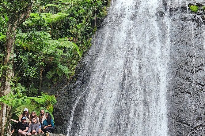El Yunque National Rainforest and Luquillo Beach Tour - Yokahu Observation Tower: The Best “Wow” Before You Get Wet