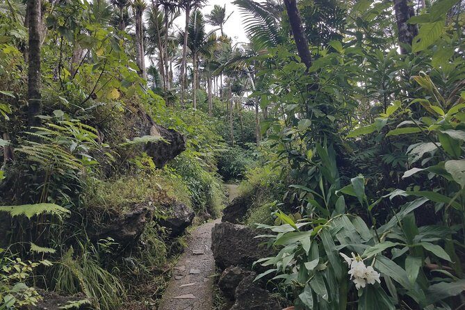 El Yunque Rainforest Full Day Private Tour - How the guide tailors your day: fast hikers, slow hikers, and everyone between