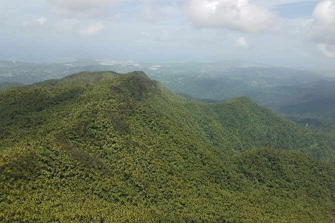 El Yunque Rainforest Full Day Private Tour - Getting from San Juan to the forest: comfort on board and real schedule sense