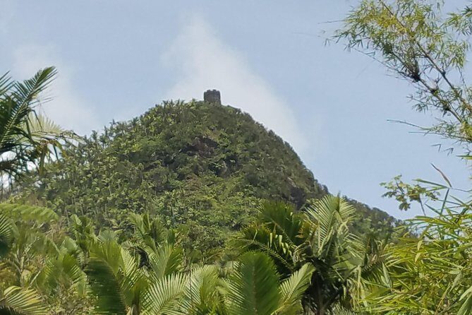 El Yunque Rainforest Full Day Private Tour - Price and value: what $333 per person is buying