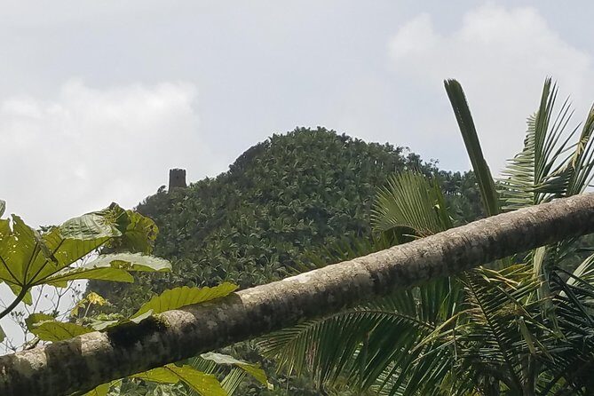 El Yunque Rainforest Full Day Private Tour - What to bring for El Yunque so the day stays fun