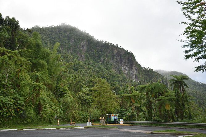 El Yunque Rainforest Guided Day Tour from San Juan - A Half-Day El Yunque Plan From San Juan That Actually Fits