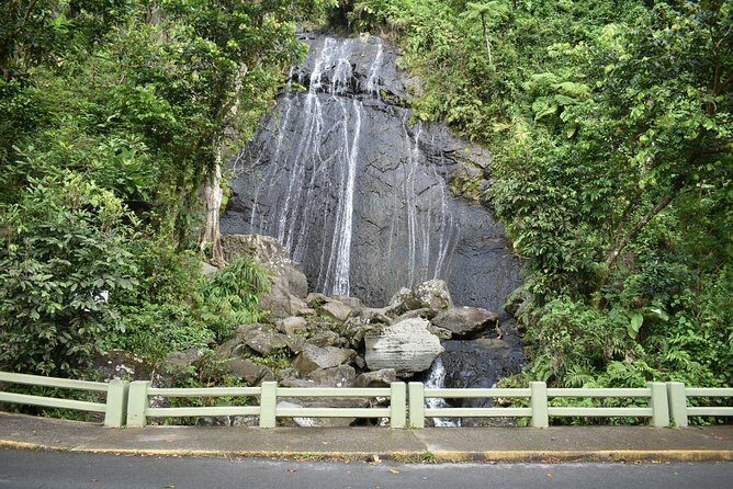 El Yunque Rainforest Guided Day Tour from San Juan - Mameyes II Nature Walk: Where the Day Turns Active