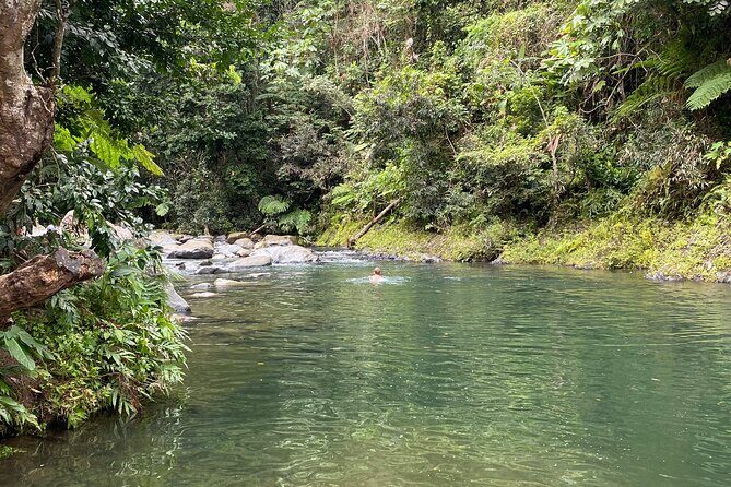 El Yunque Rainforest Guided Day Tour from San Juan - Lunch on Your Own: How to Turn the Pause Into Real Puerto Rico Food