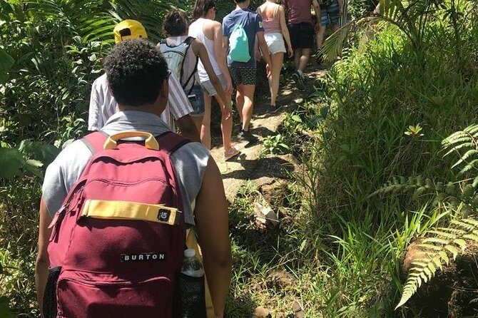 El Yunque Rainforest Guided Day Tour from San Juan - Water Conditions, Weather, and Why Shoes Matter More Than You Think