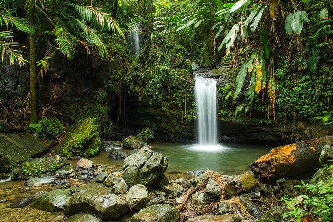 El Yunque Rainforest Guided Tour - River time: crystal-clear water, rocky entry, and what to pack