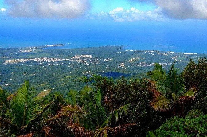 El Yunque Rainforest Guided Tour - Yokahu observation tower and waterfall moments for the best photos