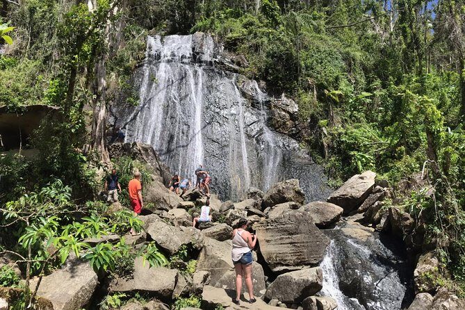 El Yunque Rainforest Hiking Tour from San Juan - The Hike Level: Moderate Effort, Built for Real People
