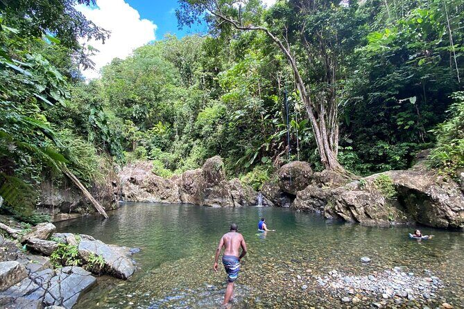 El Yunque Rainforest Morning River and Hike Adventure - Key Highlights at a Glance