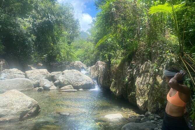 El Yunque Rainforest Morning River and Hike Adventure - The Second Hike (5–10 Minutes): Getting to the Water Slide Pool
