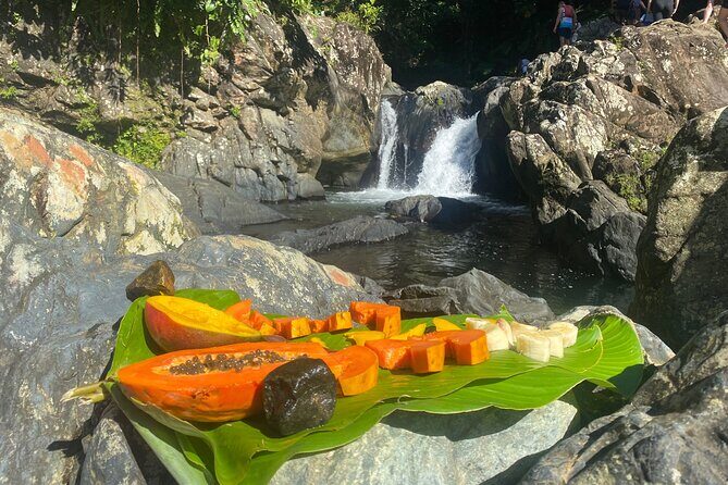 El Yunque Rainforest Morning River and Hike Adventure - The Real Value at $120: What You’re Paying For