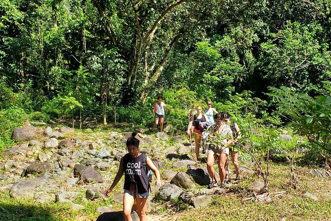 El Yunque Ziplining with River and Beach Visit - Junglequi zipline course: helmets, harnesses, and the real thrill