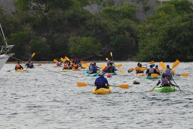 Fajardo Bioluminescent Bay Night Kayak Adventure from San Juan - Price and value: what $109 buys you here