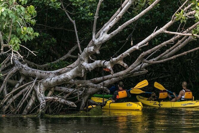 Fajardo Bioluminescent Bay Night Kayak Adventure from San Juan - Pickup from San Juan and the drive to Fajardo: smooth when it’s tight