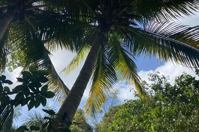 Full Day Eastern Island Tour - The Coastal Drive: Where the Views Fill the Gaps