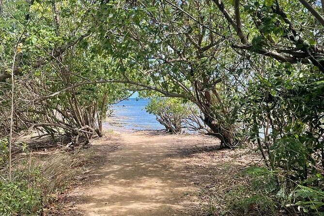 Full Day Eastern Island Tour - Getting to Las Croabas and the 45-Minute Hike