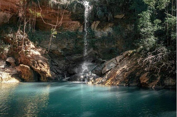 Full-Day Gozalandia Private Tour in Puerto Rico - Food breaks: snacks now, lunch at your pace