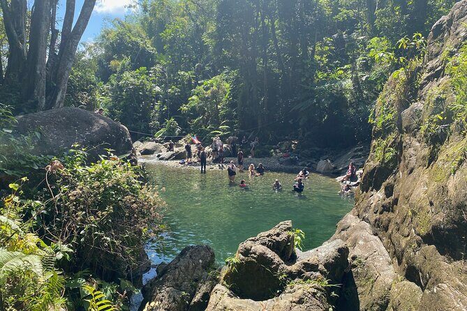Full-Day Tinajas Hiking to El Yunque Rainforest with Transport - Stop 1 in El Yunque: river trail, rope swings, and natural waterslide time