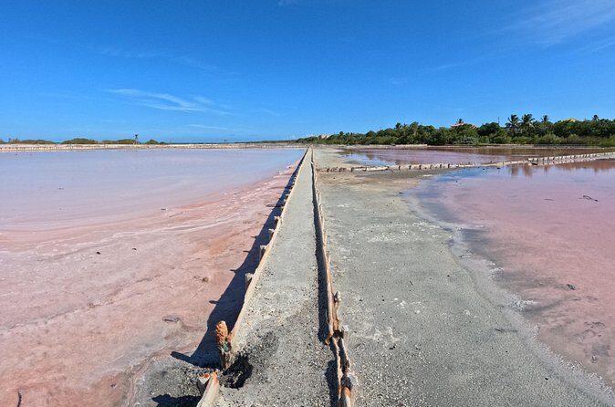 Full Day Vamos Pa la Isla Southwest Experience - Cabo Rojo Salt Flats: Where the Color Is the Point