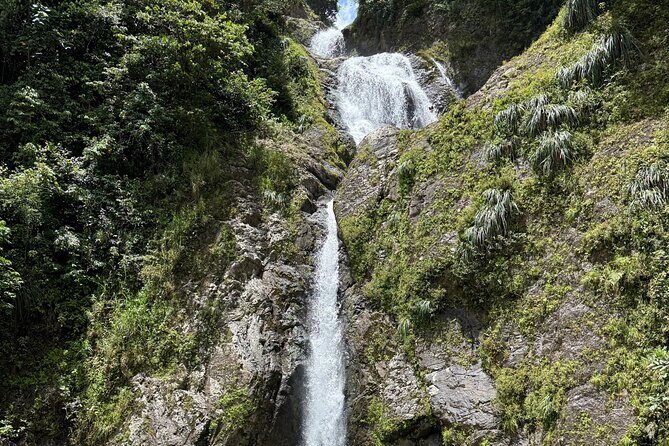 Full Day Waterfalls of Puerto Rico: Central Mountains Escape - Cascada Las Delicias: a short hike to swim under the falls