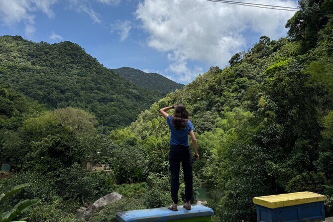 Full Day Waterfalls of Puerto Rico: Central Mountains Escape - Toro Negro State Forest and El Banquillo: the big mountain stretch
