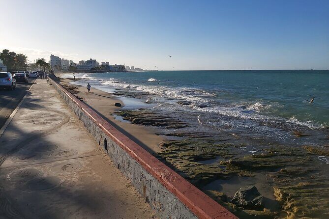 Group Transportation in airport, cruise ships, hotels, bnb's in San Juan, PR - Getting Picked Up at Luis Muñoz Marín Airport (No Guessing)