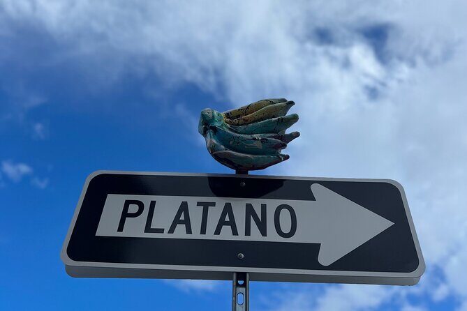 Half-Day: Old San Juan, Calle Cerra,Santurce, La Placita & Loíza - Price and Logistics: Is $200 Per Person Worth It?