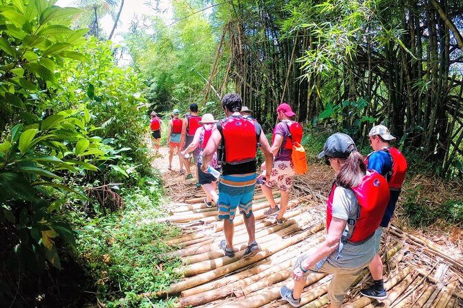Half-Day: Rainforest and Waterslide Adventure with Transportation - Price and value: what $105 really buys you