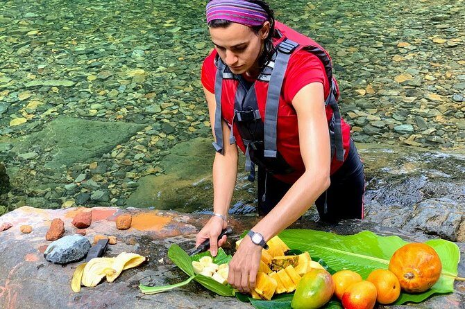 Half-Day: Rainforest and Waterslide Adventure with Transportation - Who should book this—and who should choose something gentler