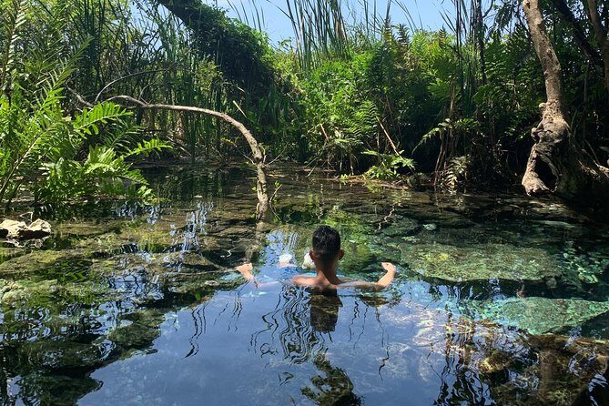Hidden Gems of the North, Puerto Rico Private Tour - Key Highlights You’ll Care About
