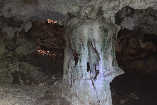 Hidden Gems of the North, Puerto Rico Private Tour - A Half-Day North-Coast Plan That Doesn’t Waste Time