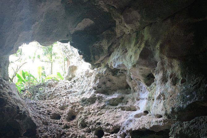 Hidden Gems of the North, Puerto Rico Private Tour - Manatí Morning: Beach Walk to Cueva de las Golondrinas